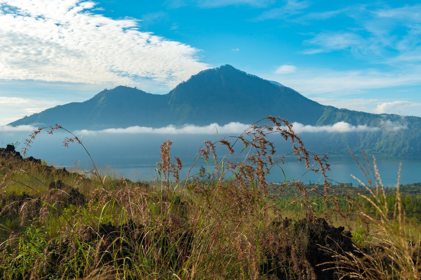 Pendaki Buang Celana Dalam di Edelweiss, Gunung Gede Tercemar Aksi Jorok